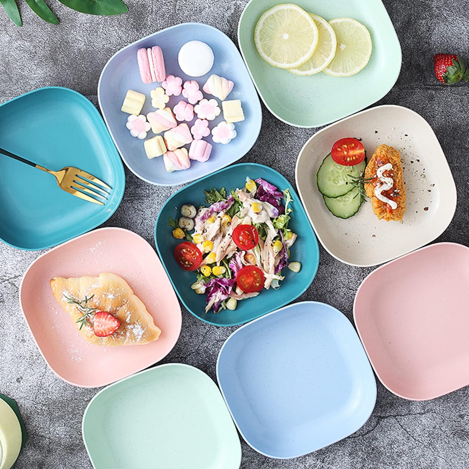 10pcs Plates Set With Holder